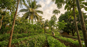 Nature-Based Solutions: Restoring Land, Rewarding Communities