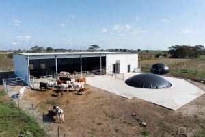 Household Biogas: Turning Waste into Clean Energy