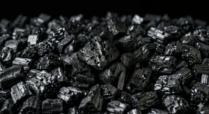 Biochar: Turning Waste into Climate Action